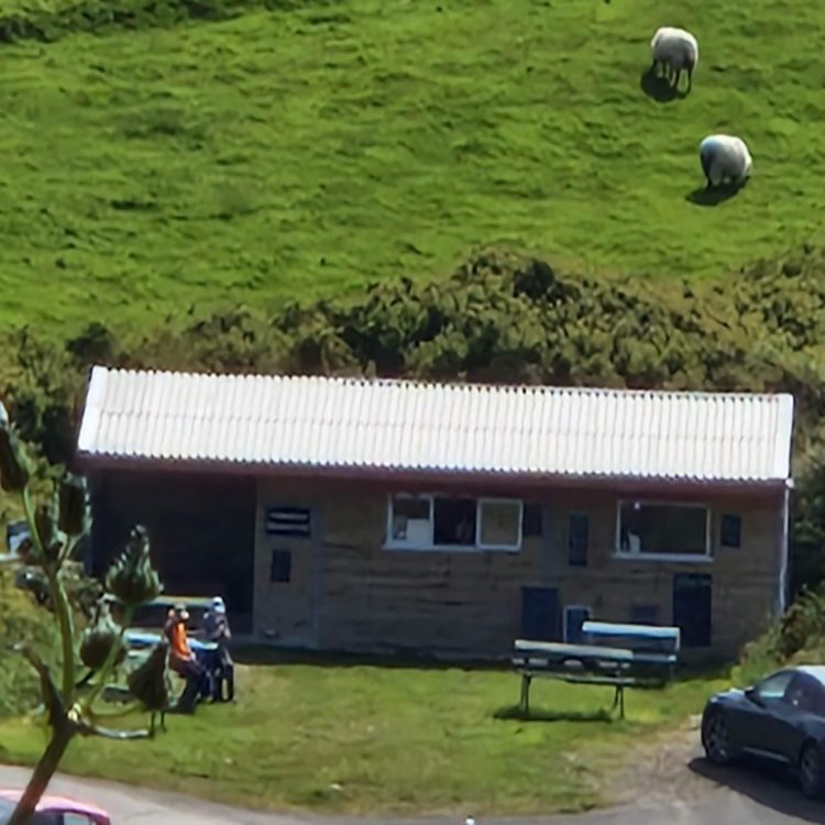 image7 (1)